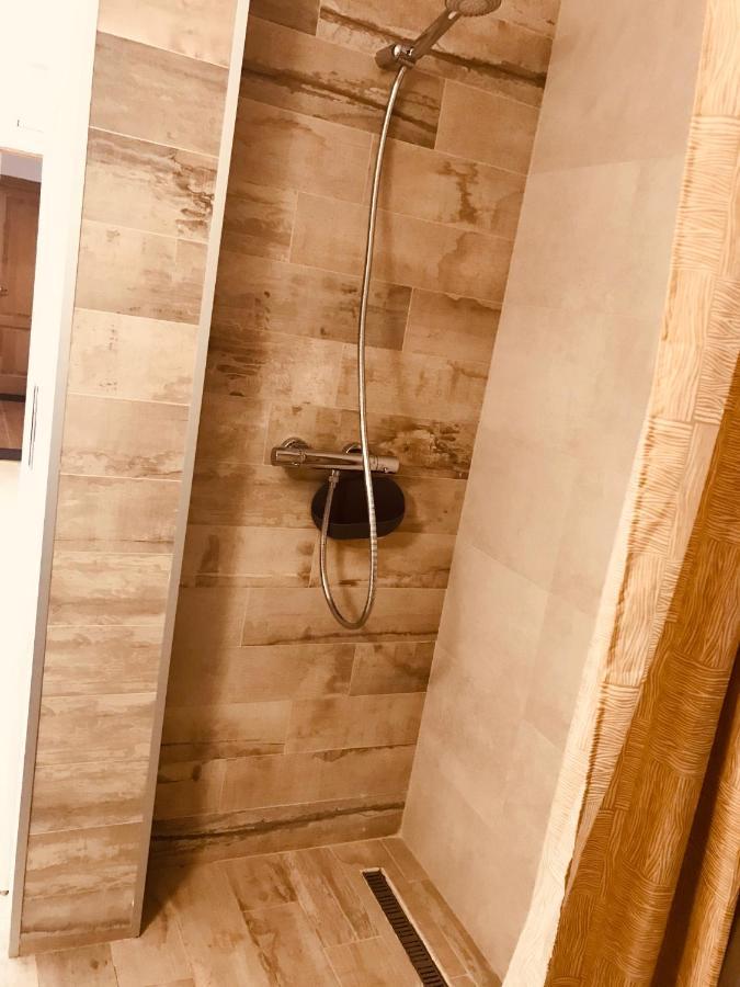 Vila Nona Apartment Сибиу Екстериор снимка