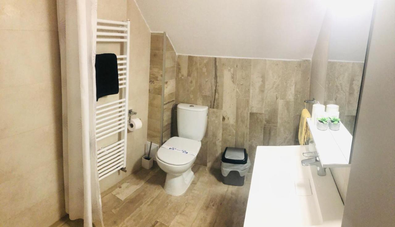 Vila Nona Apartment Сибиу Екстериор снимка
