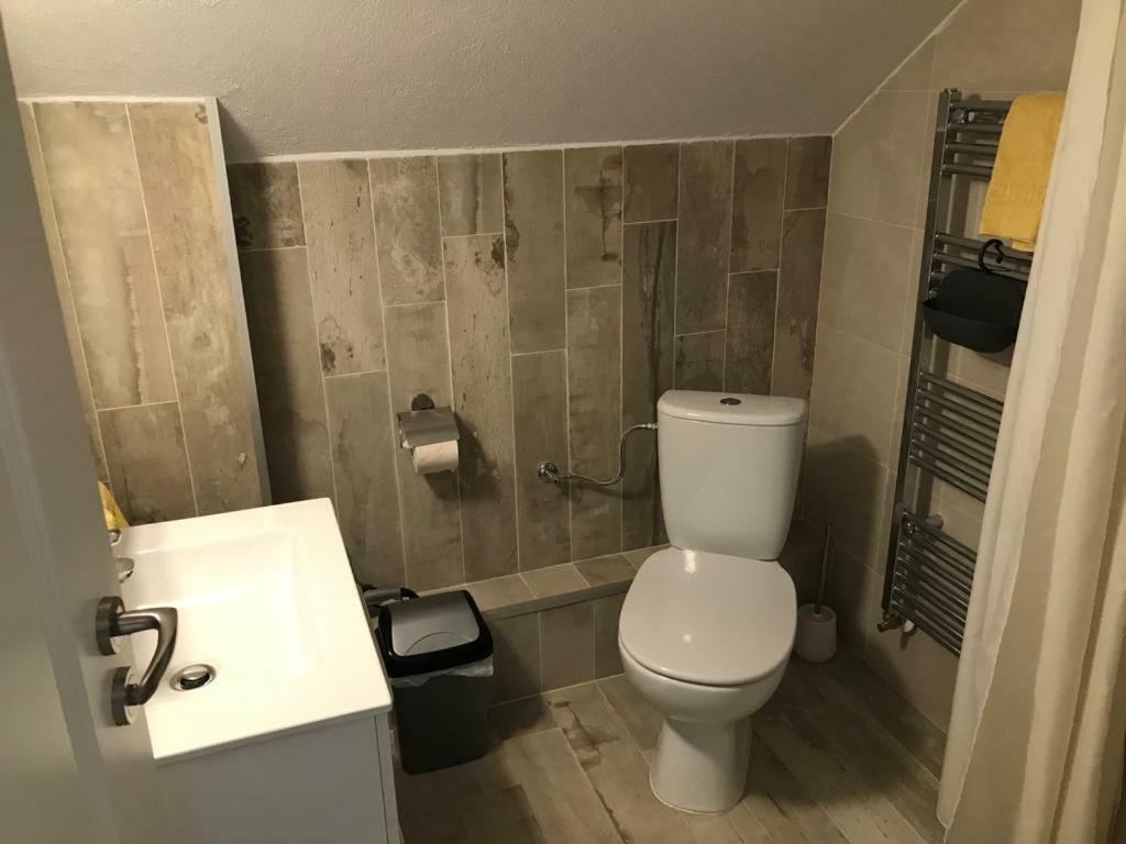 Vila Nona Apartment Сибиу Екстериор снимка